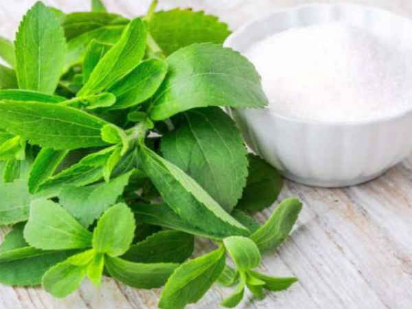 ஸ்டீவியா (Stevia) அல்லது இனிப்புத் துளசிச் செடி