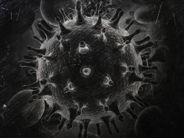 கருப்பு பூஞ்சை என்று எதனால் அழைக்கப்படுகிறது?