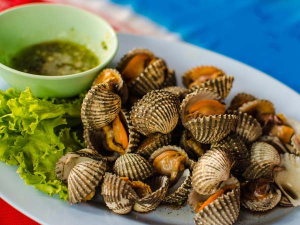 மட்டிகள் (Shellfish)