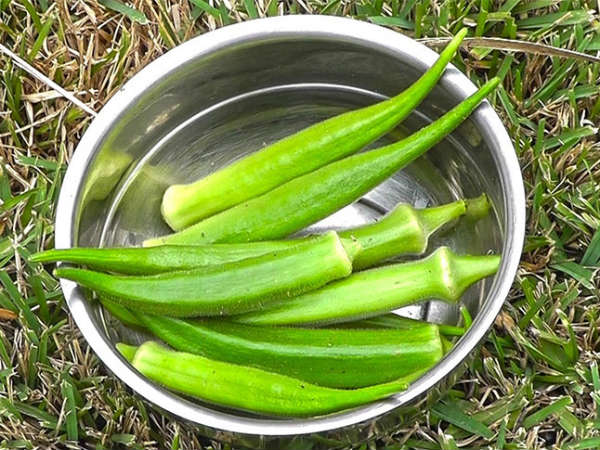 வெண்டைக்காய்