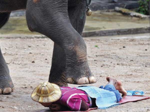 யானைகளால் நசுக்கப்படுவது