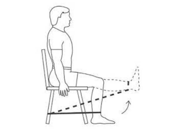 முழங்கால் நீட்டிப்பு (knee extension) உடற்பயிற்சியை எவ்வாறு செய்தனா்?