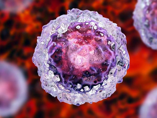 ஸ்டெம் செல்களைப் பற்றிய கட்டுக் கதைகளும், உண்மையும்