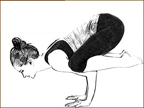 ககாசனம் (Kakasana)