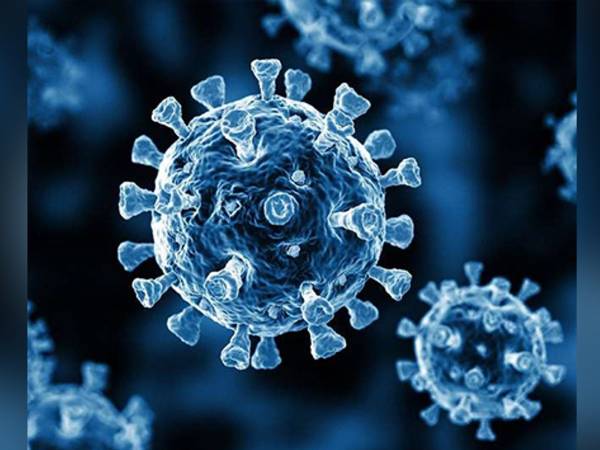 கப்பா மாறுபாடு