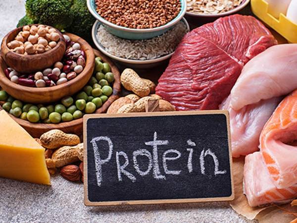 புரோட்டீனின் முக்கியத்துவம்