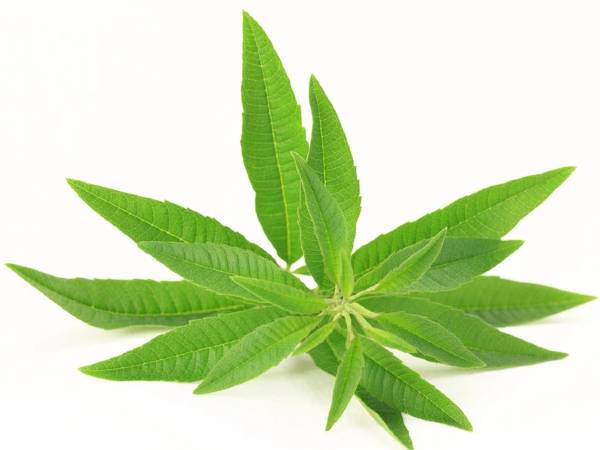 இறுதியாக