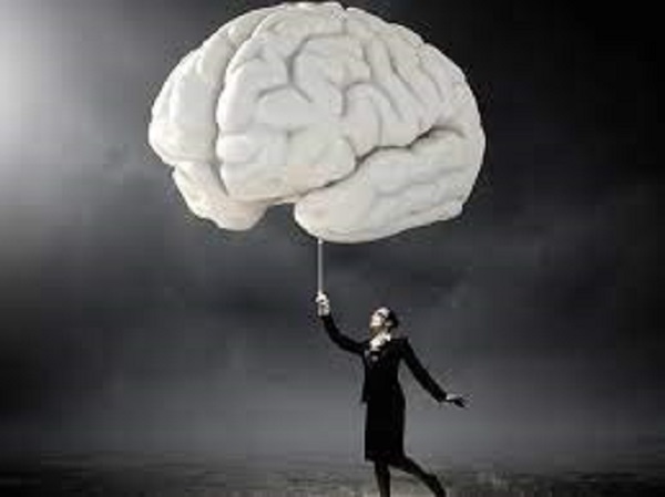 ஆய்வு உணவுகள்