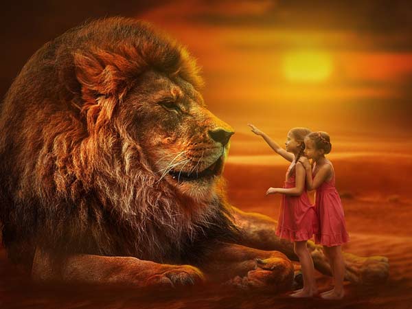 பிறந்த ராசிகள்