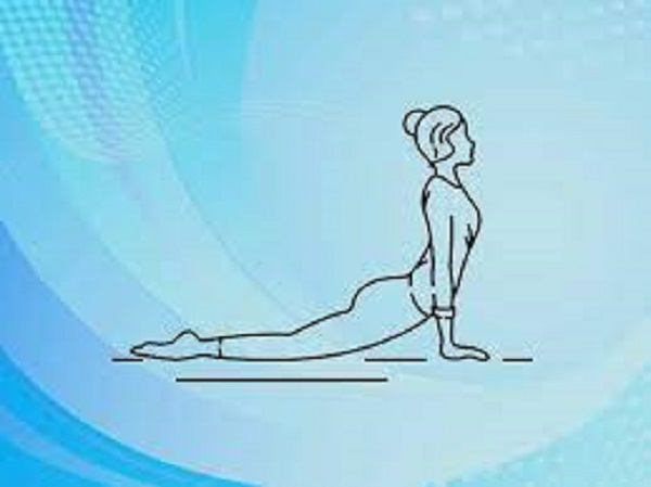 கோப்ரா போஸ்