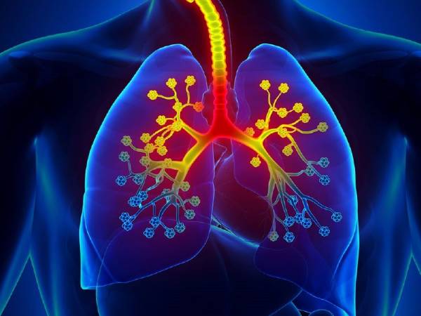 Asthma May Get Worse At Night: Things You Need To Know About Asthma Attacks At Night Asthma May Get Worse At Night: Things You Need To Know About Asthma Attacks At Night