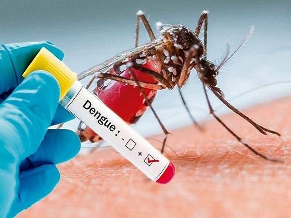 Warning Symptoms Of Severe Dengue In Tamil Warning Symptoms Of Severe Dengue In Tamil