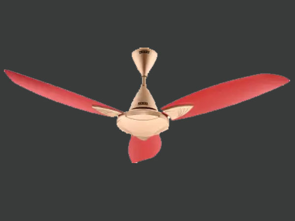 மின்விசிறி மற்றும் ஏர் கூலர்