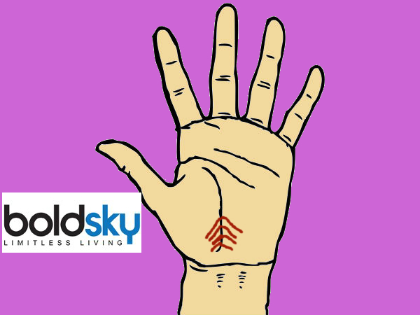 கிளைக்கோடுகள்