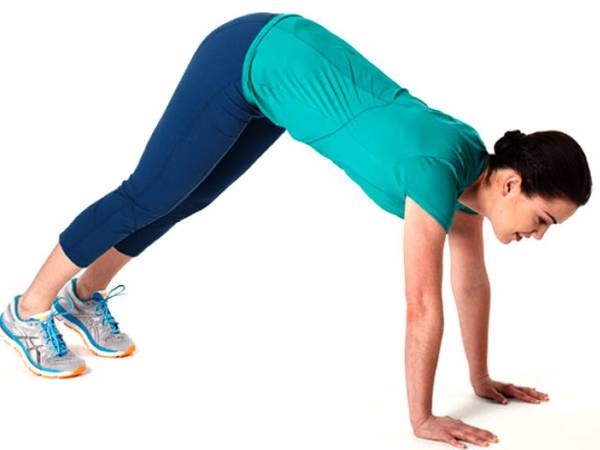 1. இன்ச்வாா்ம் (Inchworm)