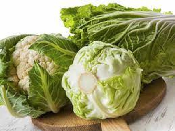 முட்டைக்கோஸ் முட்டைக்கோஸ்