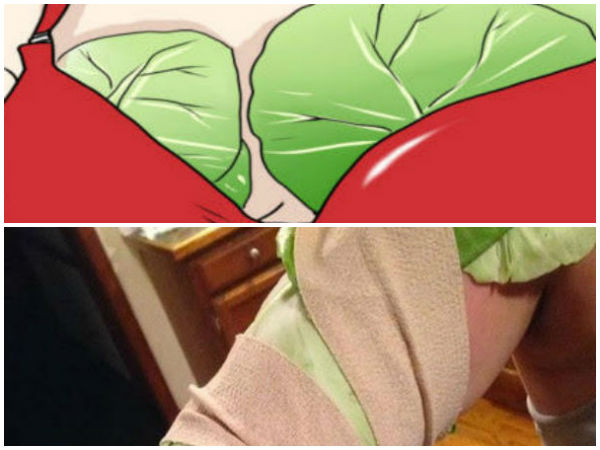 Reason why new moms use cabbage leaves on their breasts Reason why new moms use cabbage leaves on their breasts
