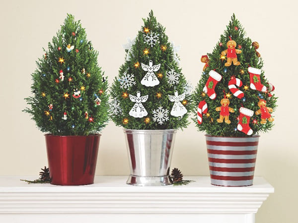 2. சிறிய கிறிஸ்துமஸ் மரம்