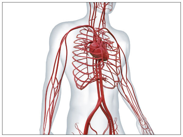 severe-pain-in-these-parts-of-the-body-could-be-a-warning-sign-in-tamil severe-pain-in-these-parts-of-the-body-could-be-a-warning-sign-in-tamil