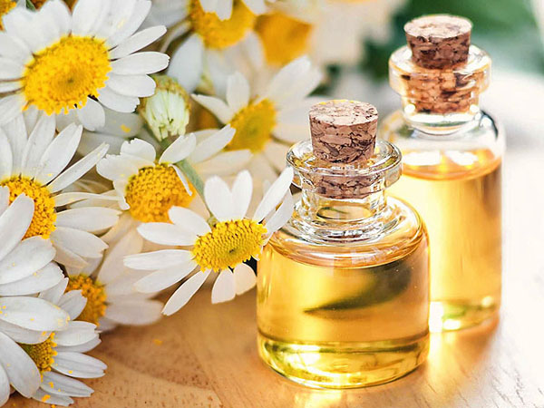 சீமைச்சாமந்தி எண்ணெய் சீமைச்சாமந்தி எண்ணெய்