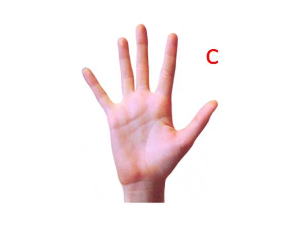 மென்மையான உள்ளங்கை