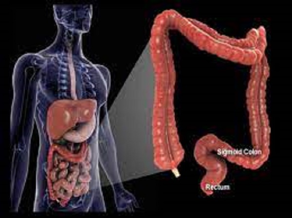 குடல் இயக்கங்களில் மாற்றம்