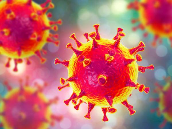 வைரஸ் உருமாற்றம்