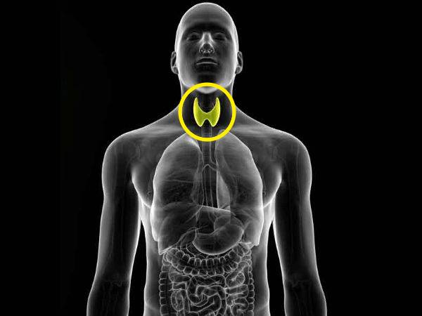 Drinks To Ease Thyroid Issues And To Boost Thyroid Functioning Drinks To Ease Thyroid Issues And To Boost Thyroid Functioning