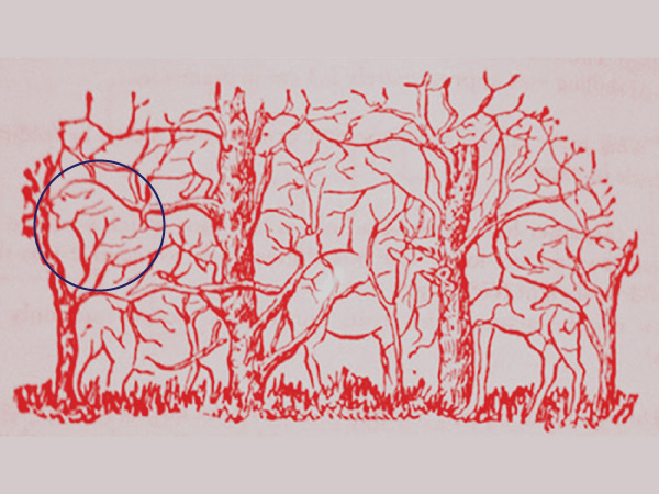 சிங்கம்