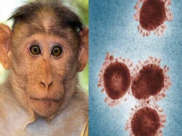 Myths About Monkeypox Debunked in Tamil Myths About Monkeypox Debunked in Tamil