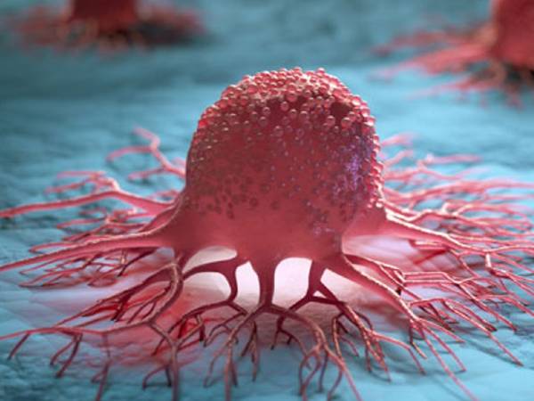 ஆய்வு சொல்வது என்ன?