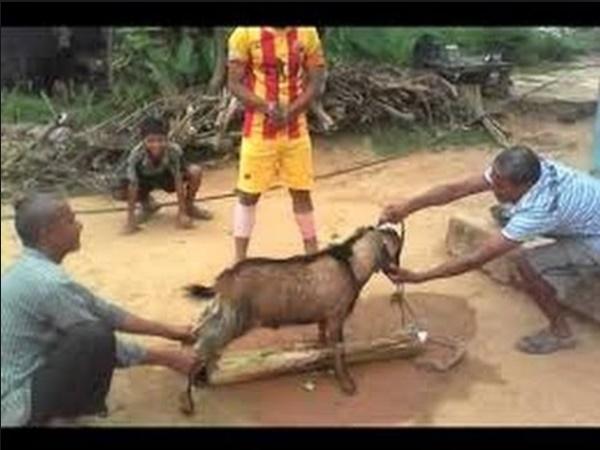 இறைச்சி - கைல்காட், மேற்கு வங்காளம்