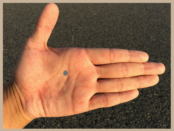 உள்ளங்கையில் மச்சம்