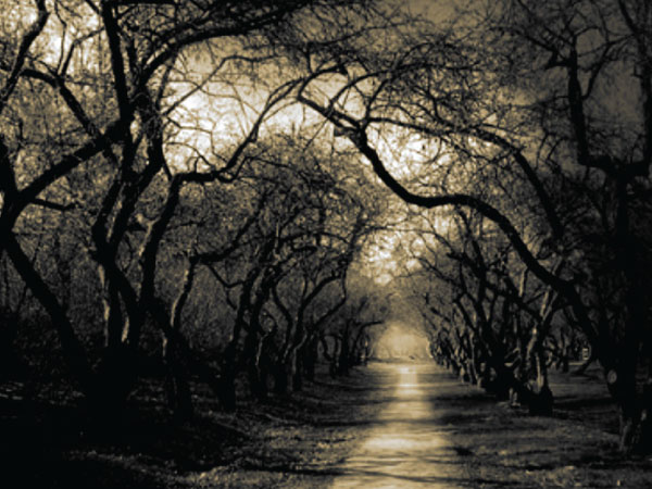 இருவழி கிழக்கு கடற்கரை சாலை