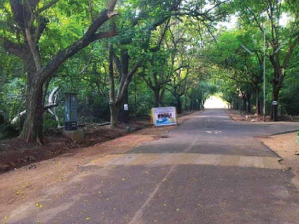 பெசன்ட் அவென்யூ சாலை