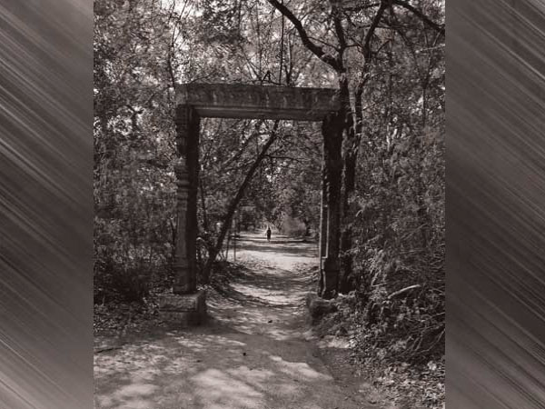 தியோசாபிகல் சொசைட்டி