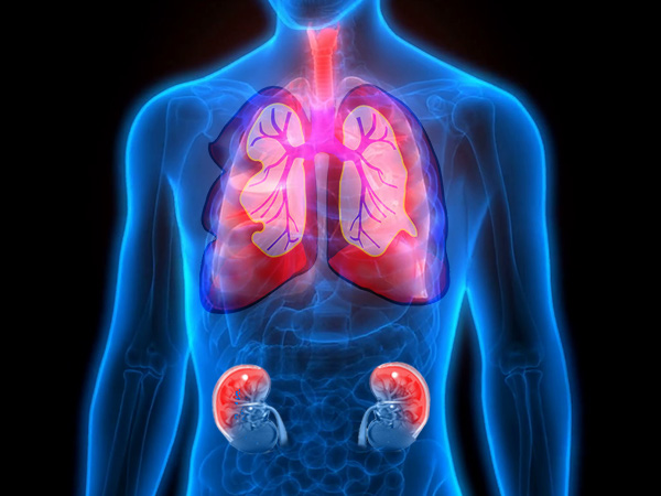 Easy Ways to Cleanse Your Kidneys in Tamil Easy Ways to Cleanse Your Kidneys in Tamil