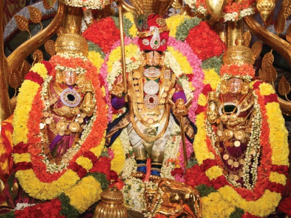 என்ன செய்ய வேண்டும்?