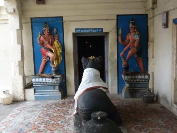 என்ன செய்ய வேண்டும்?