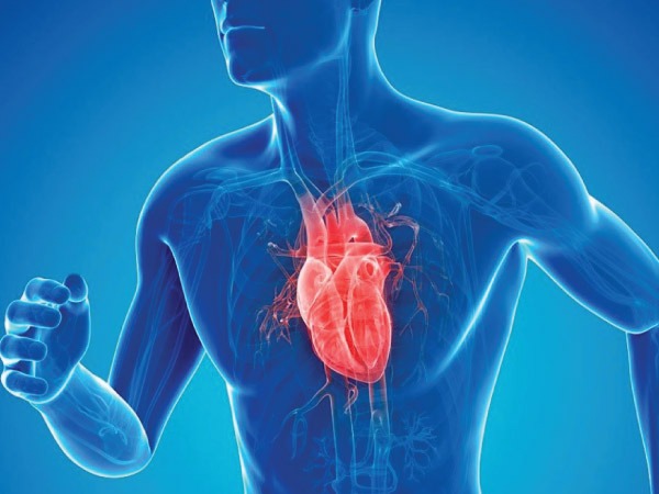 உடல் செயல்பாடு