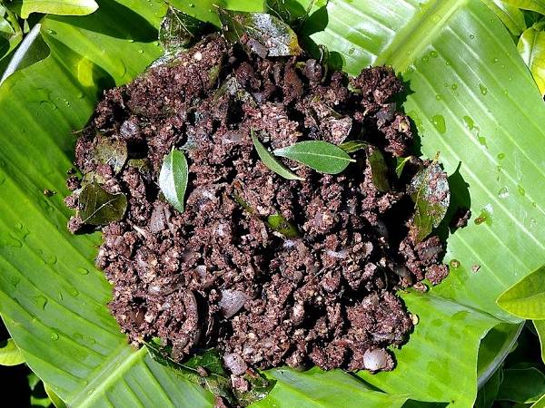 Madurai Style Aattu Ratha Poriyal Recipe In Tamil