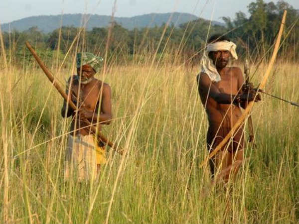 செஞ்சுஸ், ஆந்திரப் பிரதேசம்