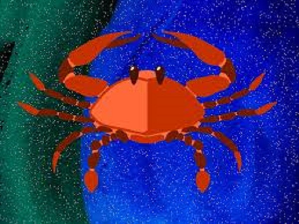 கல்வி எப்படி இருக்கும்?