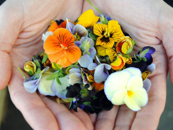 ஆரோக்கியத்தை மேம்படுத்துகிறது