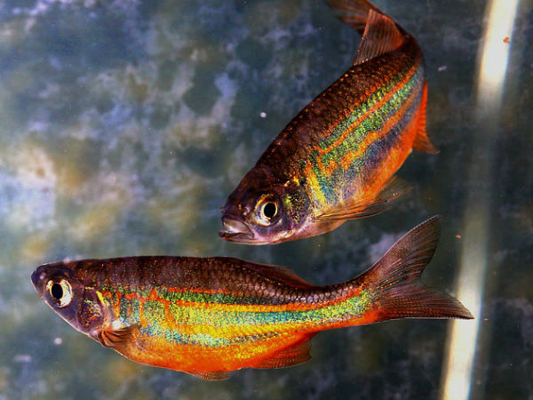 பணம் மற்றும் லாபம்