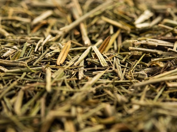 உணவில் நிலவேம்பு தண்ணீரை ஏன் சேர்க்க வேண்டும்?