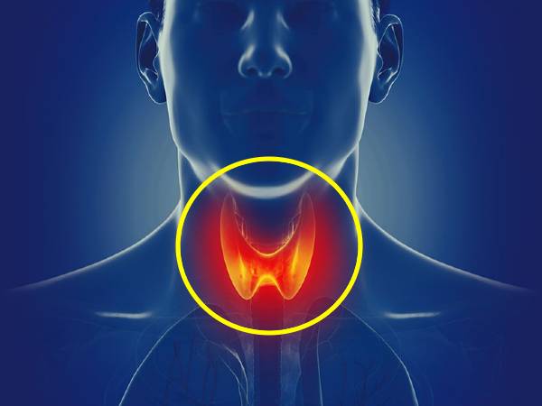 எதிர் ஊட்டச்சத்துகளை தவிர்க்கவும் எதிர் ஊட்டச்சத்துகளை தவிர்க்கவும்