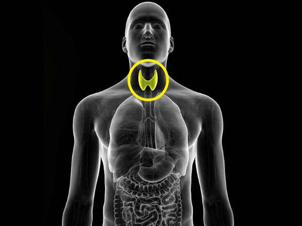 What to Eat and Avoid in Hypothyroidism in Tamil What to Eat and Avoid in Hypothyroidism in Tamil