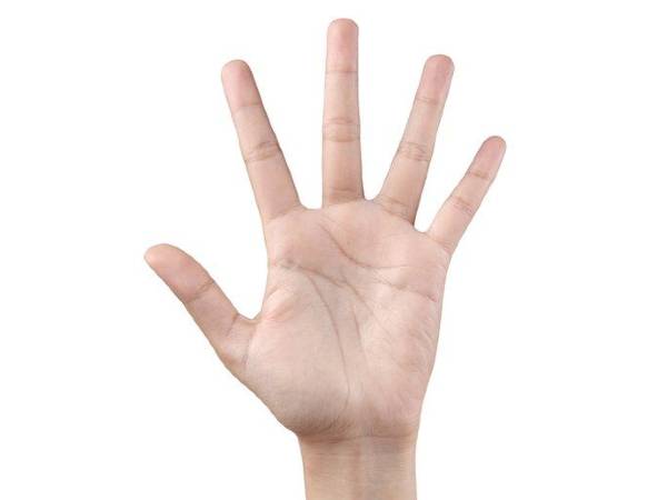 உணர்வுகள் கட்டுப்படும்