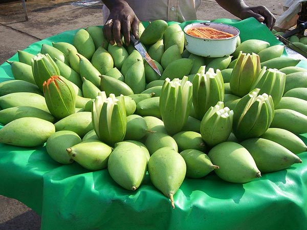 கருவுறுதல் சின்னம்